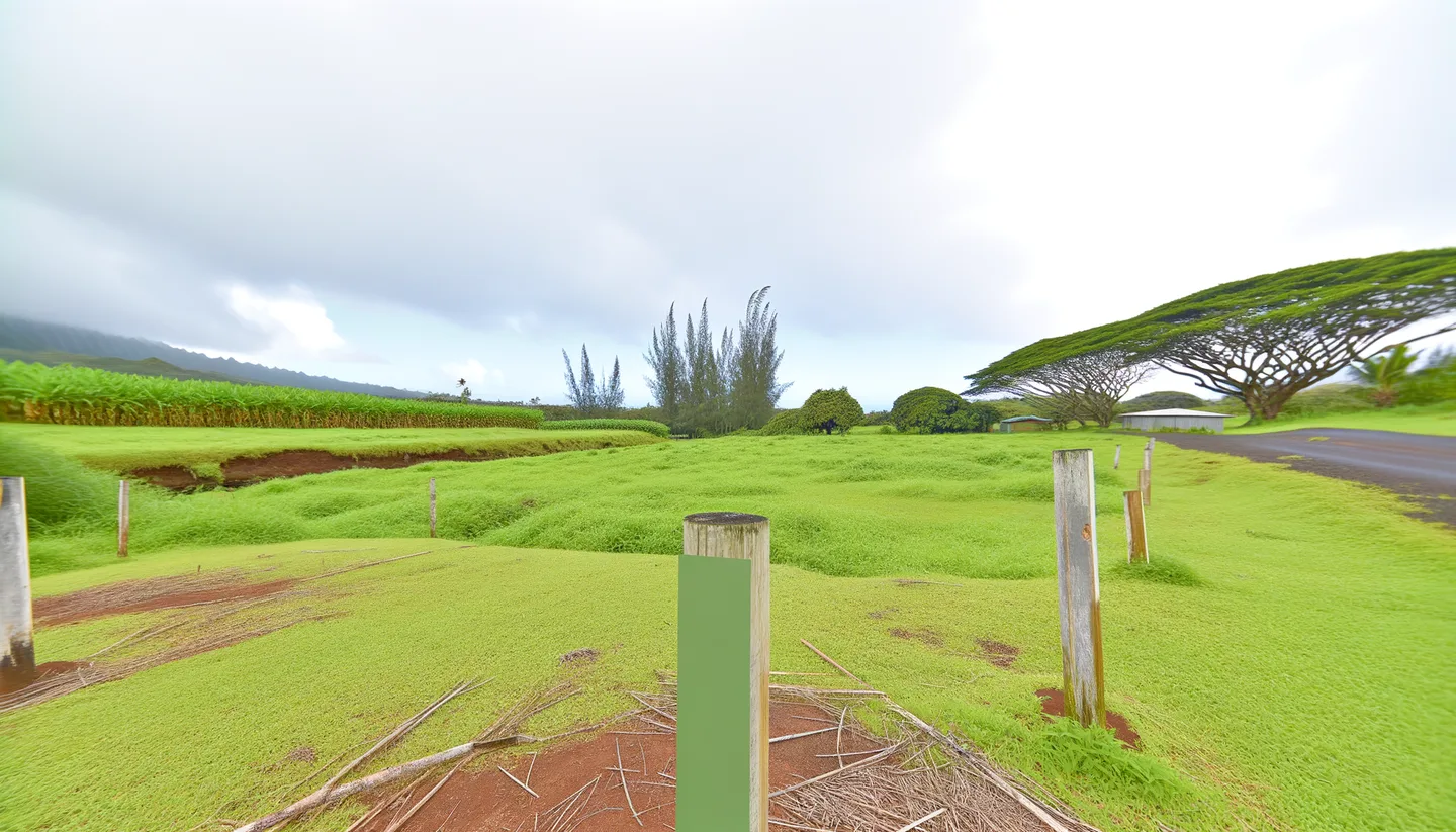 Vacant land parcel in Hawaii