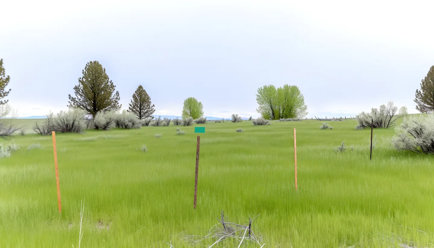 Vacant land parcel in Idaho