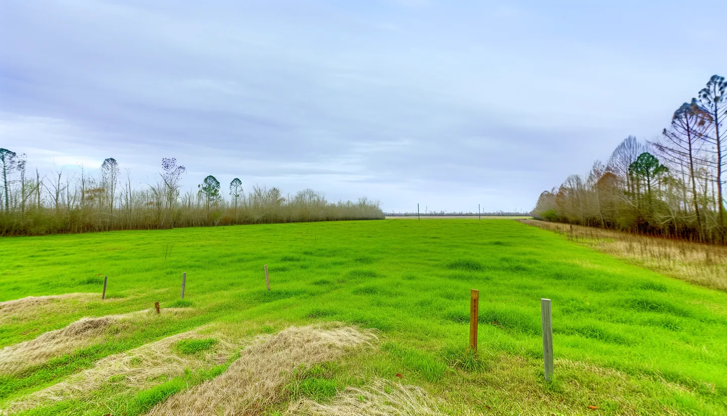 Vacant land parcel in Louisiana