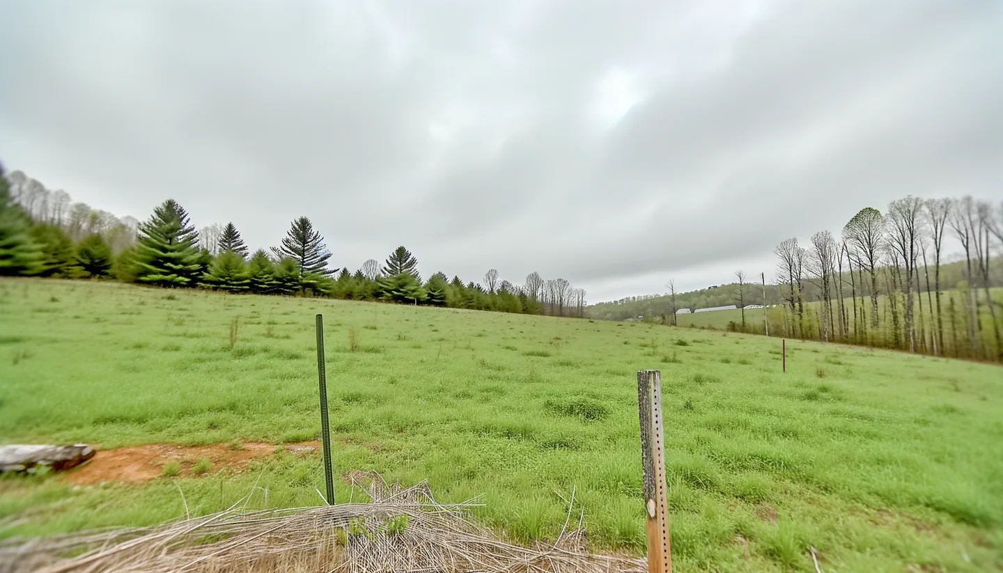 Vacant land parcel in West Virginia